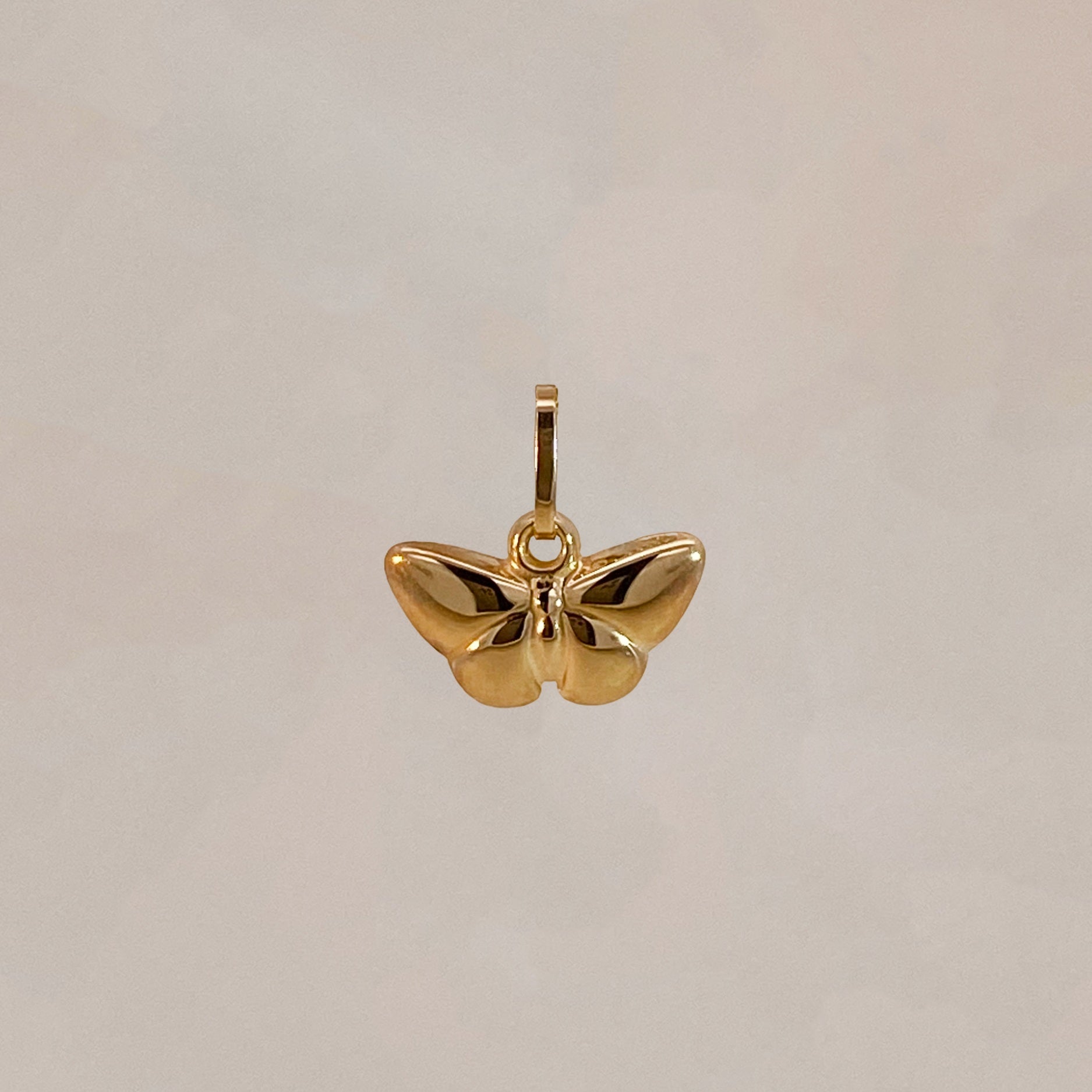 Butterfly Charm