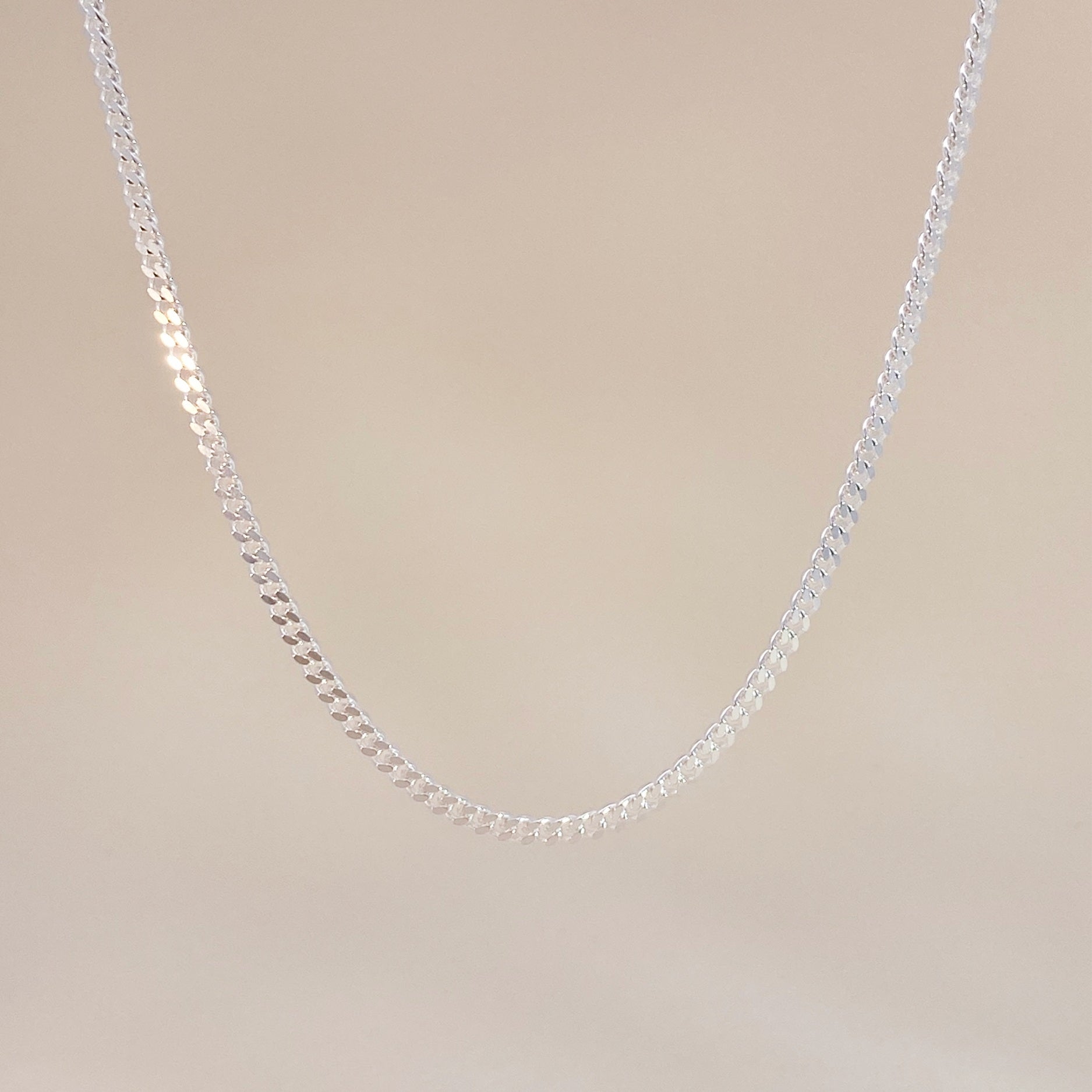 Gourmet Silver Necklace